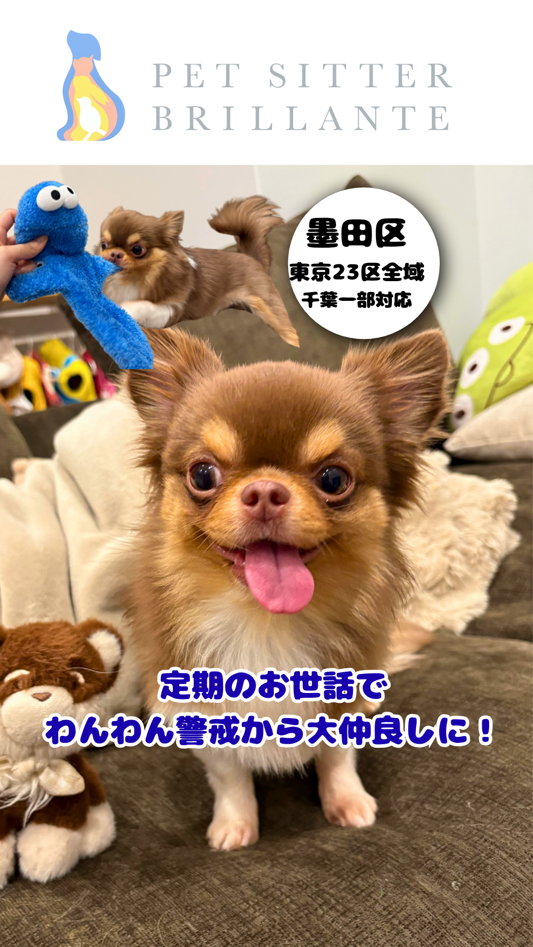 334d4337b48dd0deedfc889a5b6b77c4ffcec757.png