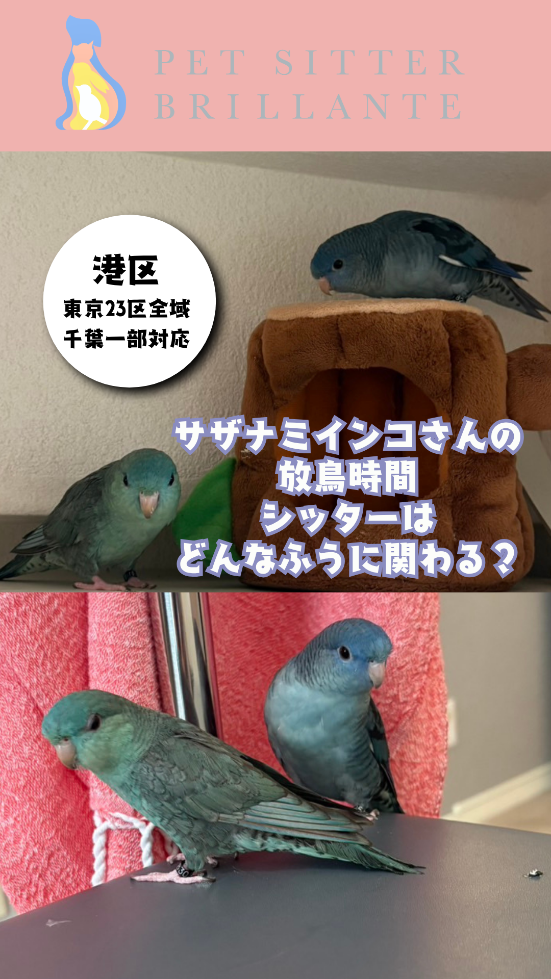 35a98ab191e810be94dbebbca2f1a428eb64815f.png