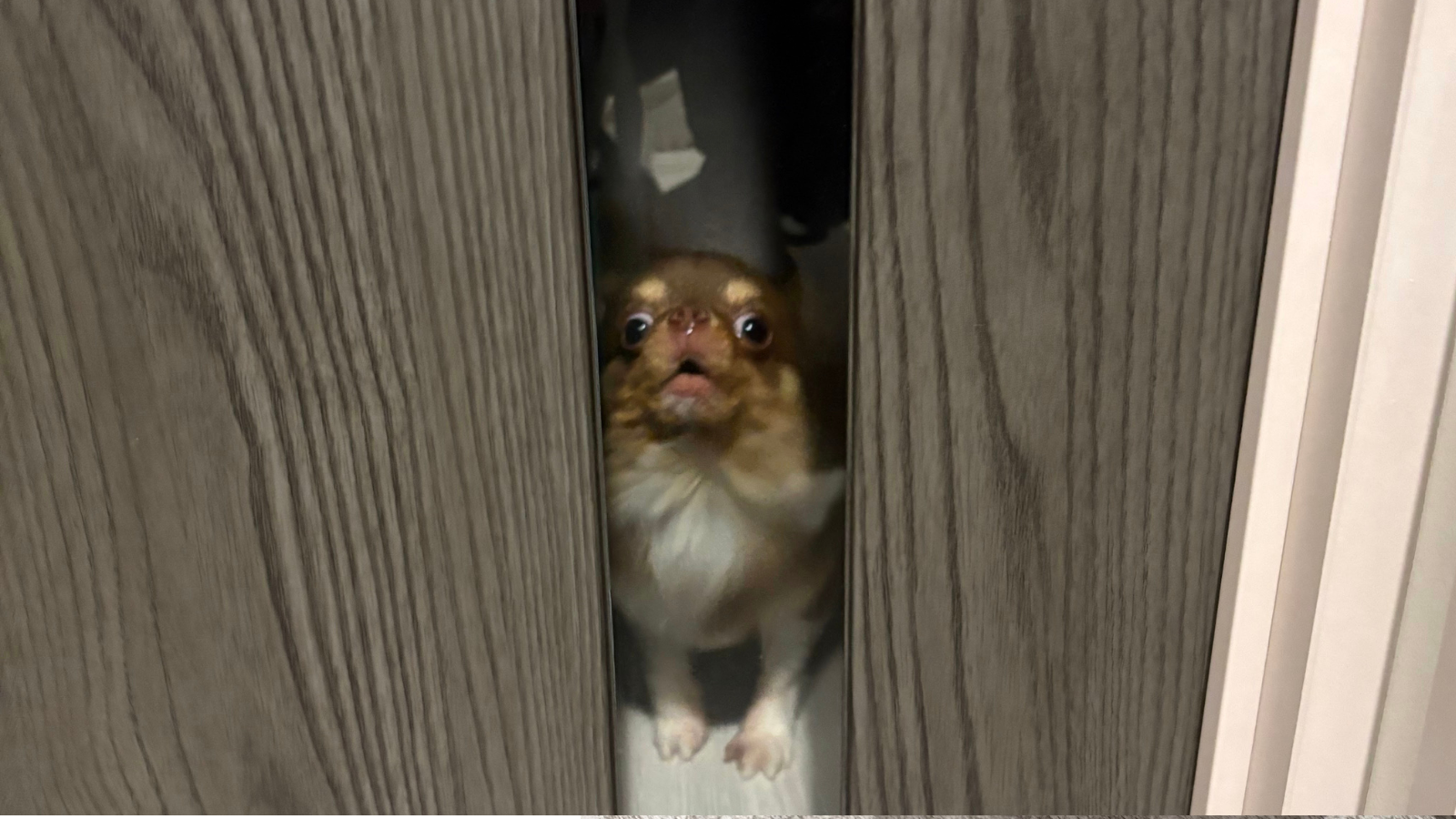5451d67e308d6f05990335b215daa5a09929b309.png