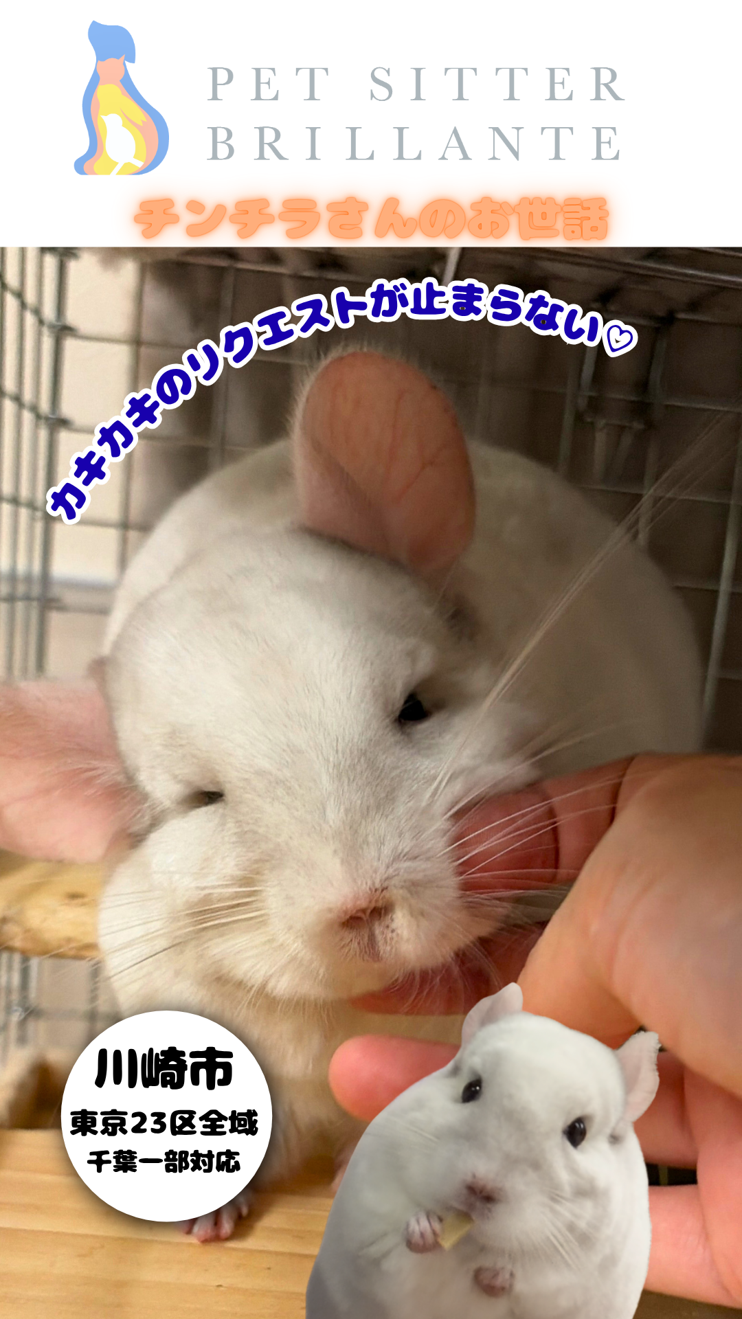 5e6b34f0a936131a3f77dbccad7a75c11fef64ec.png