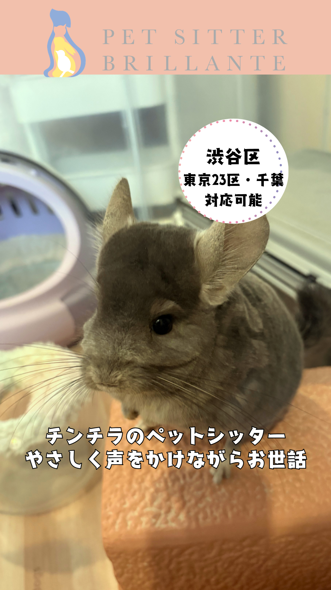 77da6251d604f544fd7eafa73887a77636b51beb.png