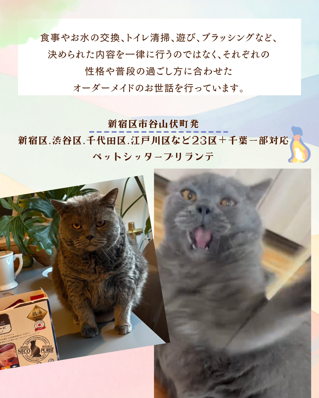 853caf06ae42d59f0102e7c083b4f3c963d82a37.png