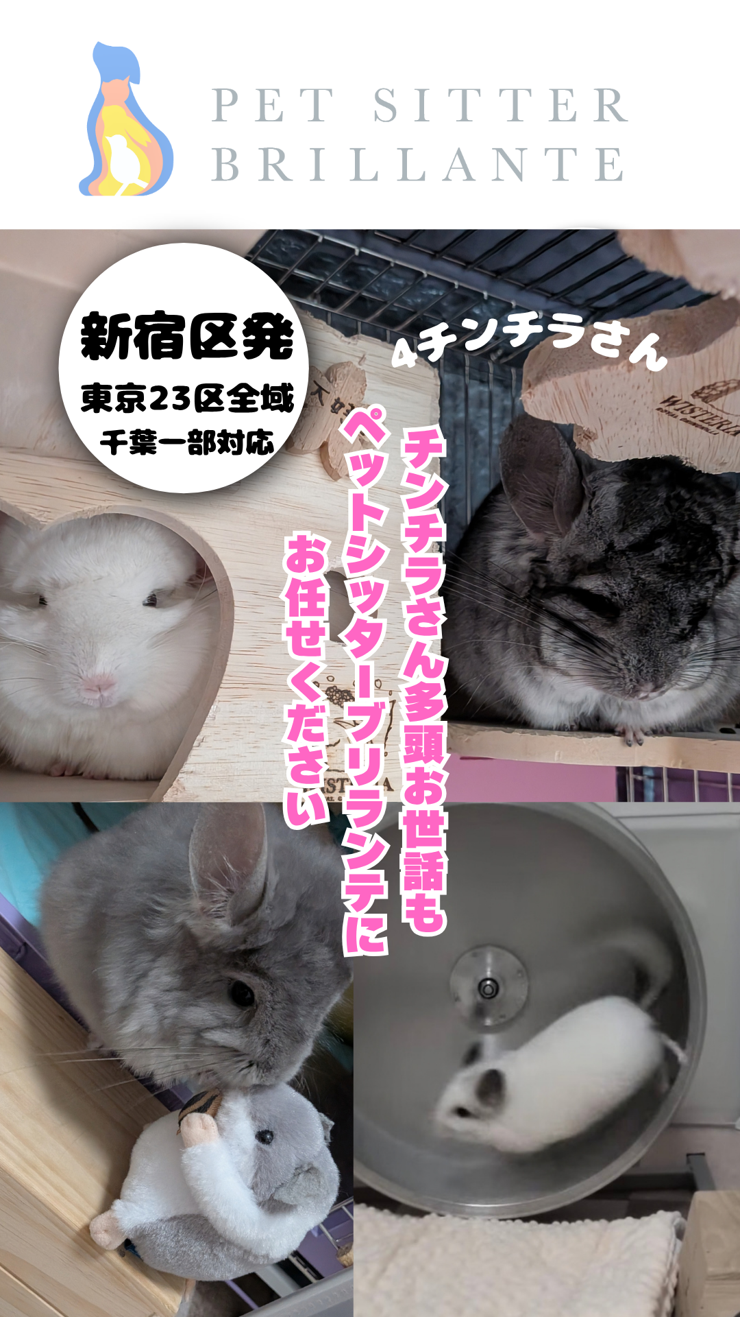 9569a7e2cdb9f4f6c3b213e92e0ccc4927fc89ab.png