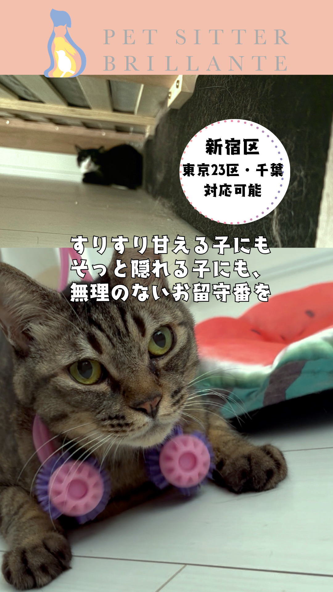 95ff1d756cccfbe6632de3636aed4ab67d436df5.png