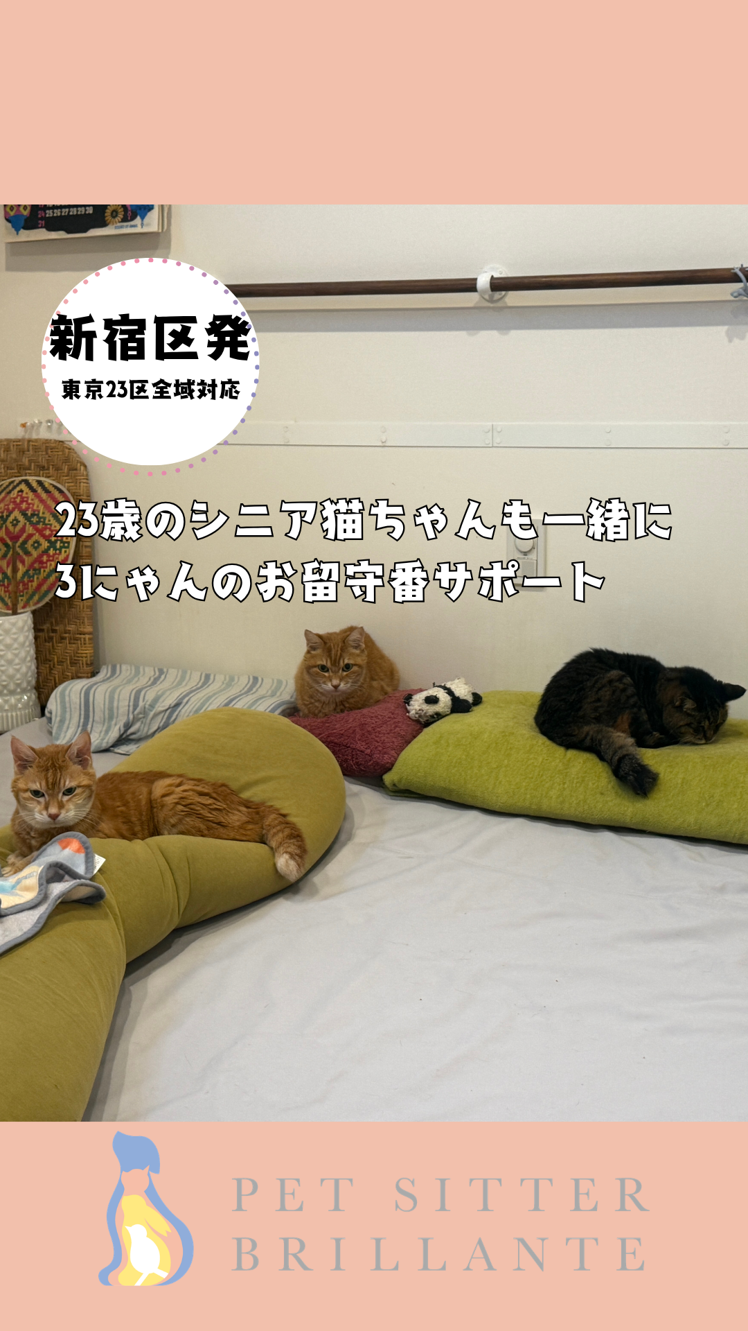 97542ee1dd69bae835da8555c071374d79c0dc34.png
