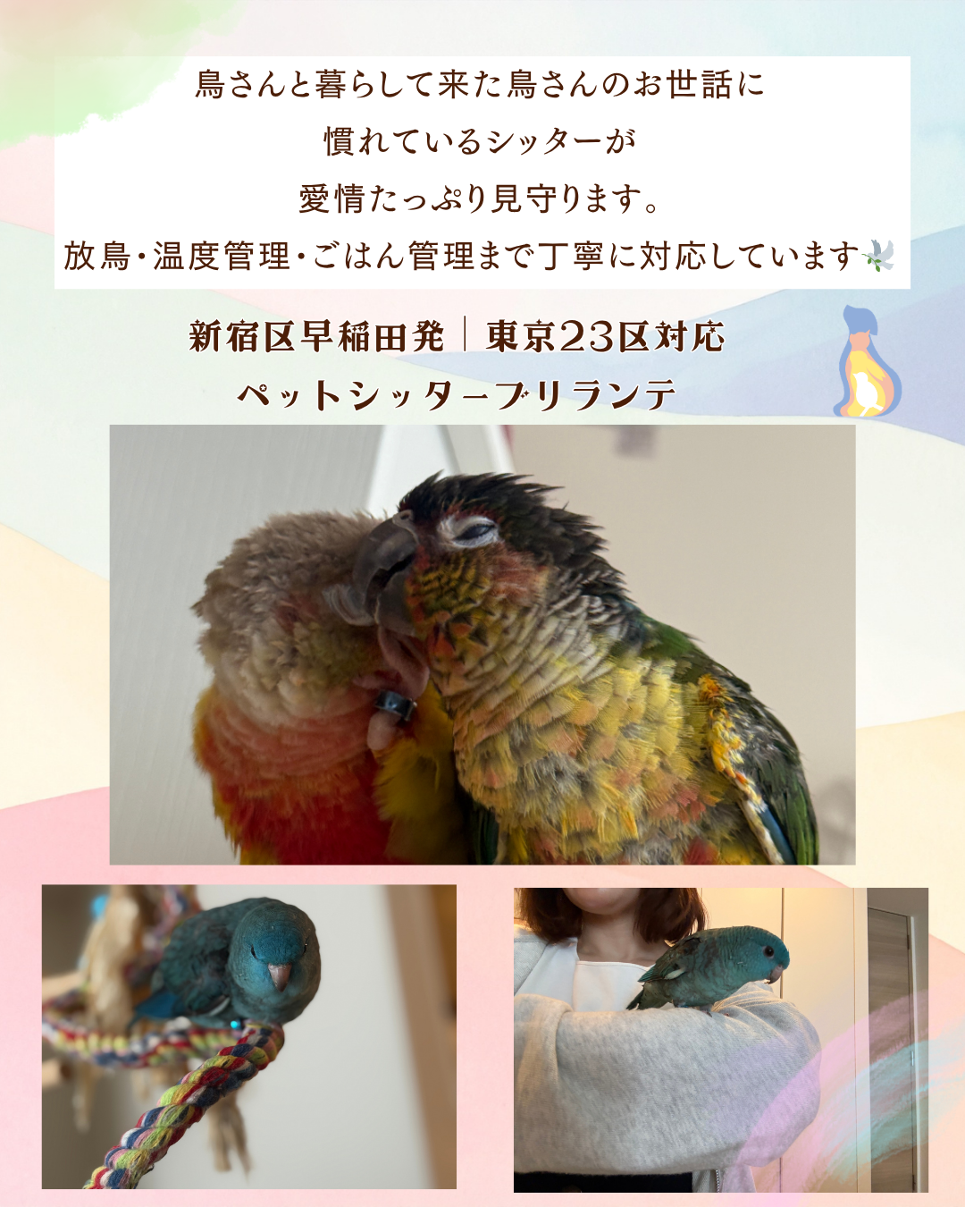 97a0ffe8b04a947093ba58e5a5963b903638b981.png