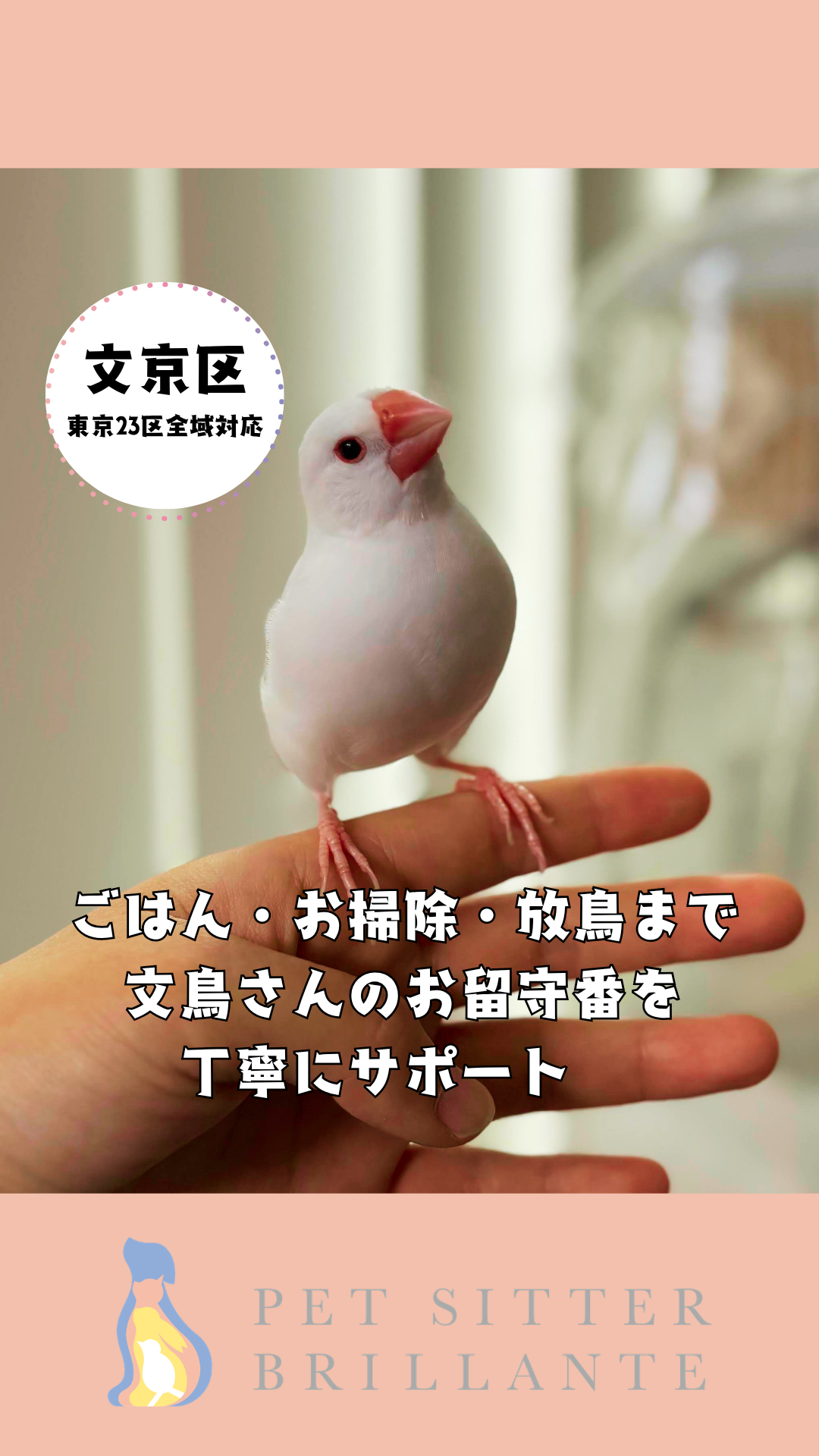 IMG_0079.png