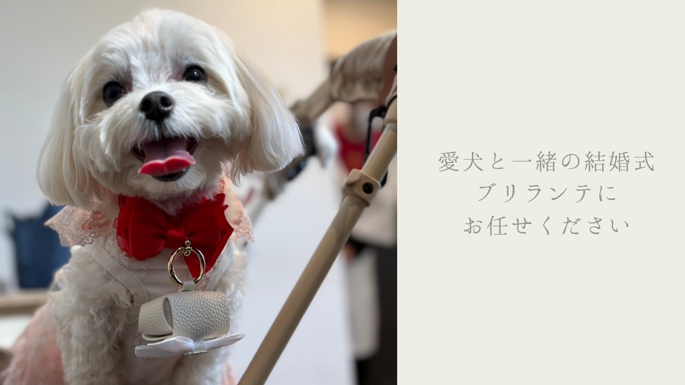 IMG_0120.png