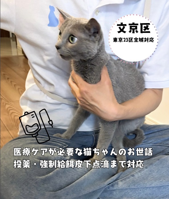 IMG_0325.jpeg