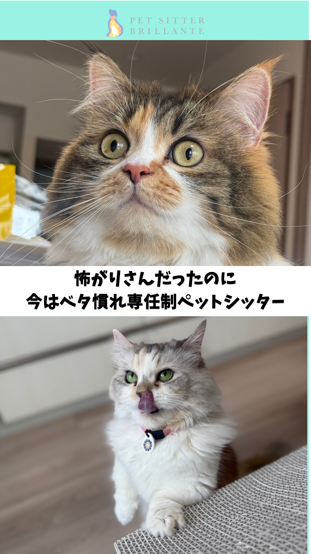 IMG_2617.png