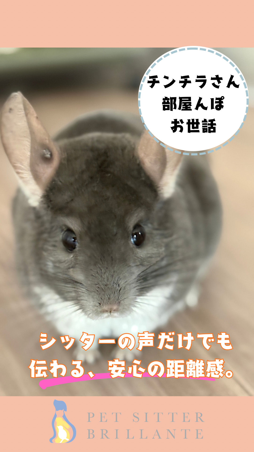 IMG_2845.png