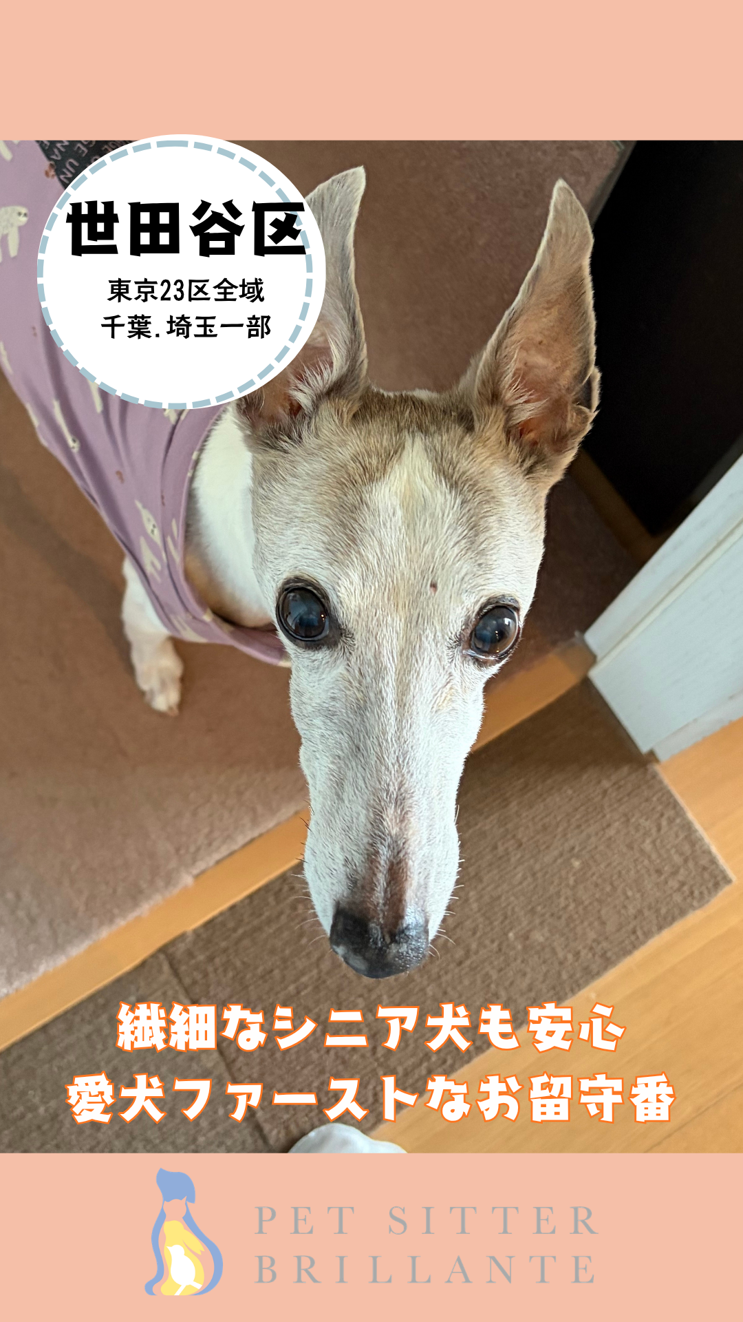 IMG_2876.png