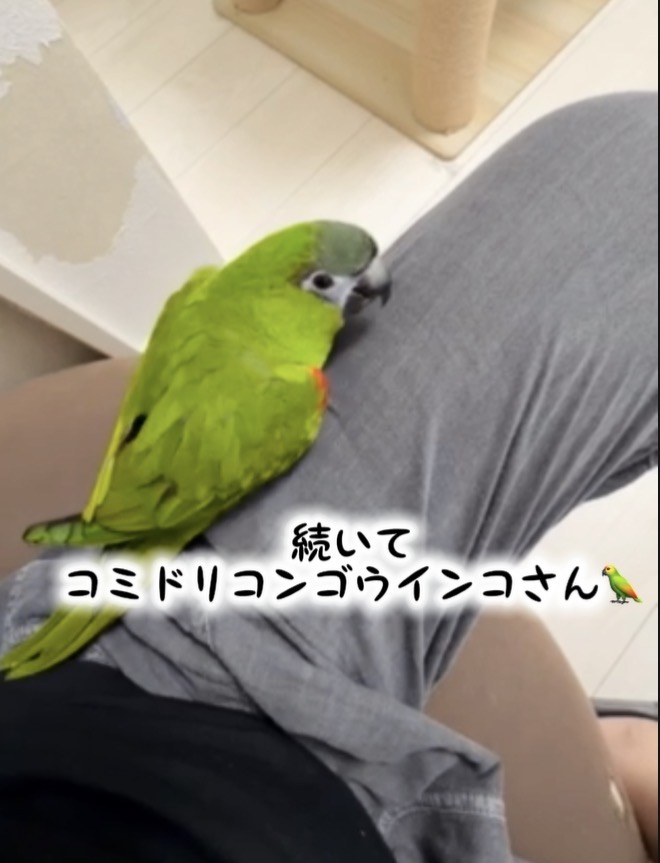 IMG_3528.jpeg