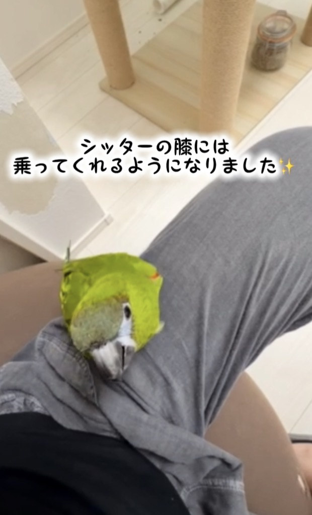 IMG_3529.jpeg
