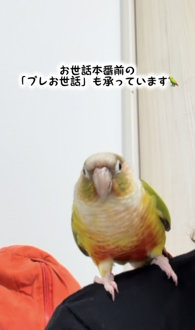 IMG_3530.jpeg