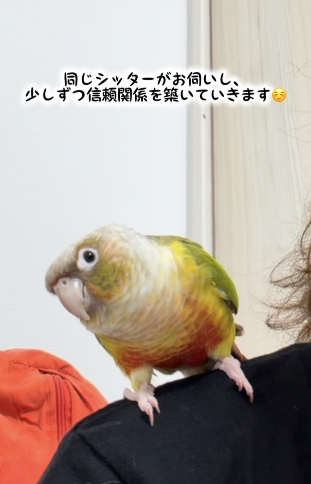 IMG_3531.jpeg