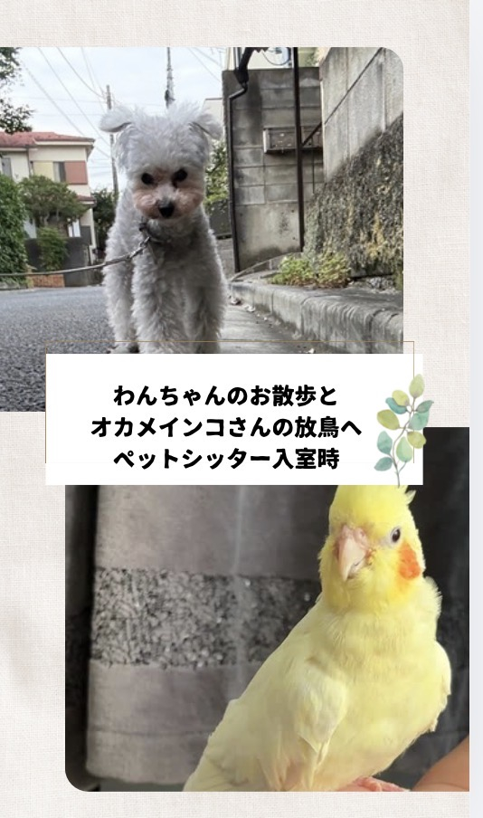 IMG_5802.jpeg
