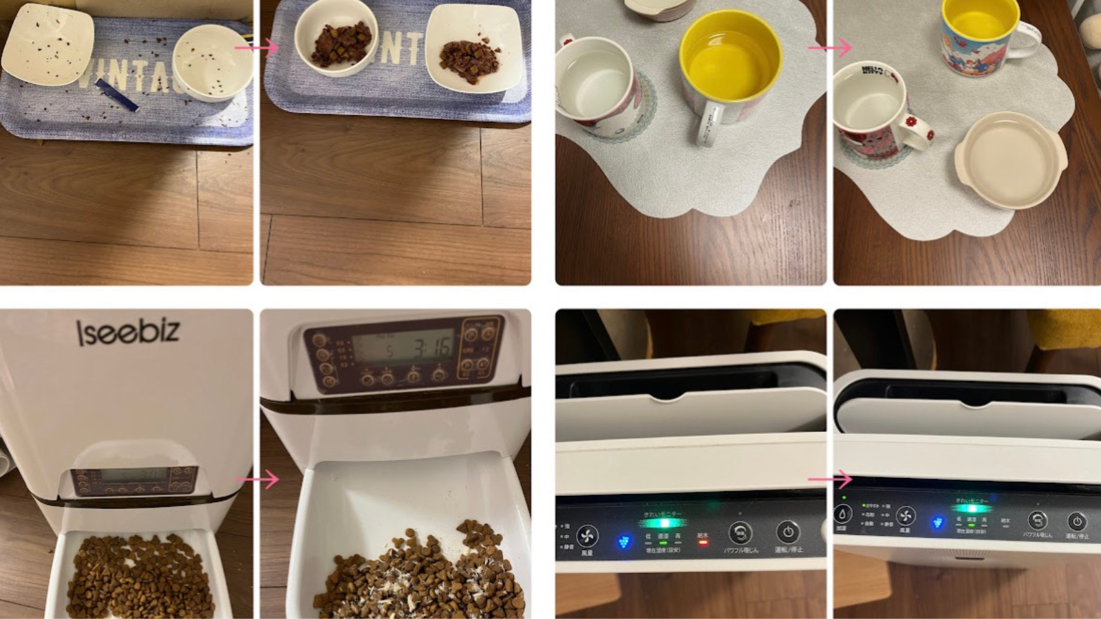 IMG_6206.png