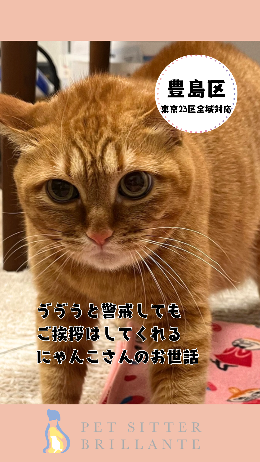 IMG_6631.png
