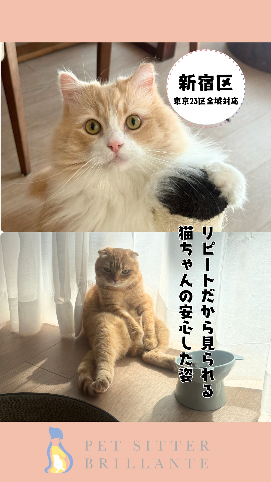 IMG_7189.png