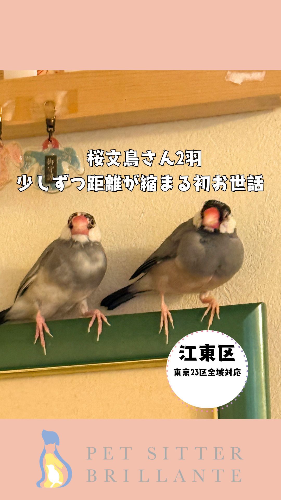 IMG_7650.png