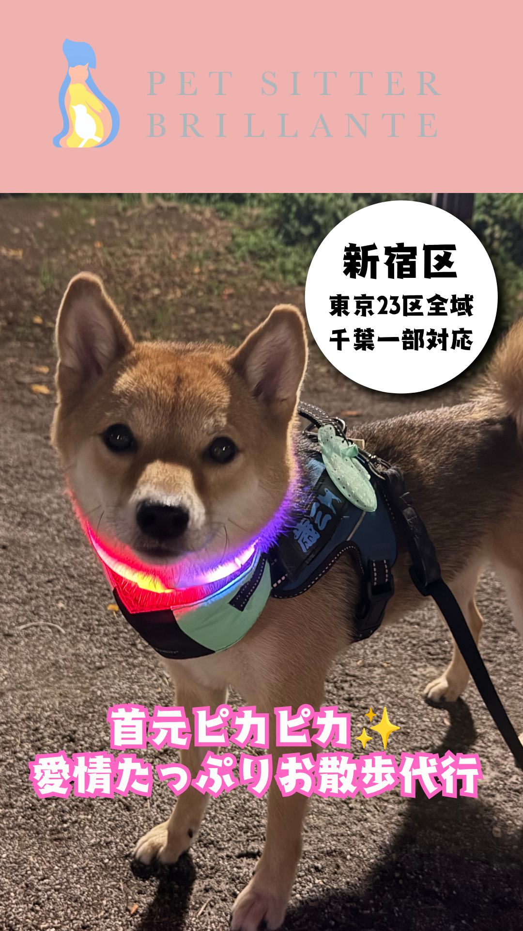 a61e1cce2a2502878aedee29ac33f8a5c0759079.png