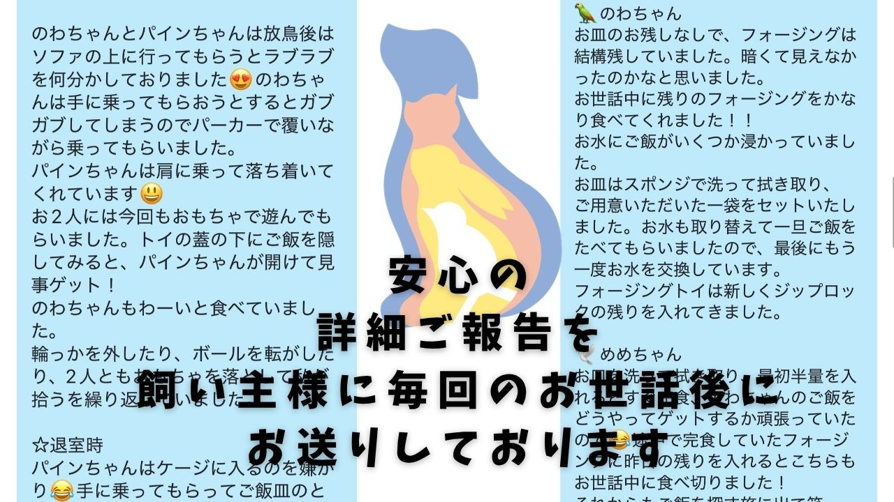 ab2edda355026d0a6786b0c3e0ef2bb686a9cf2b.jpeg