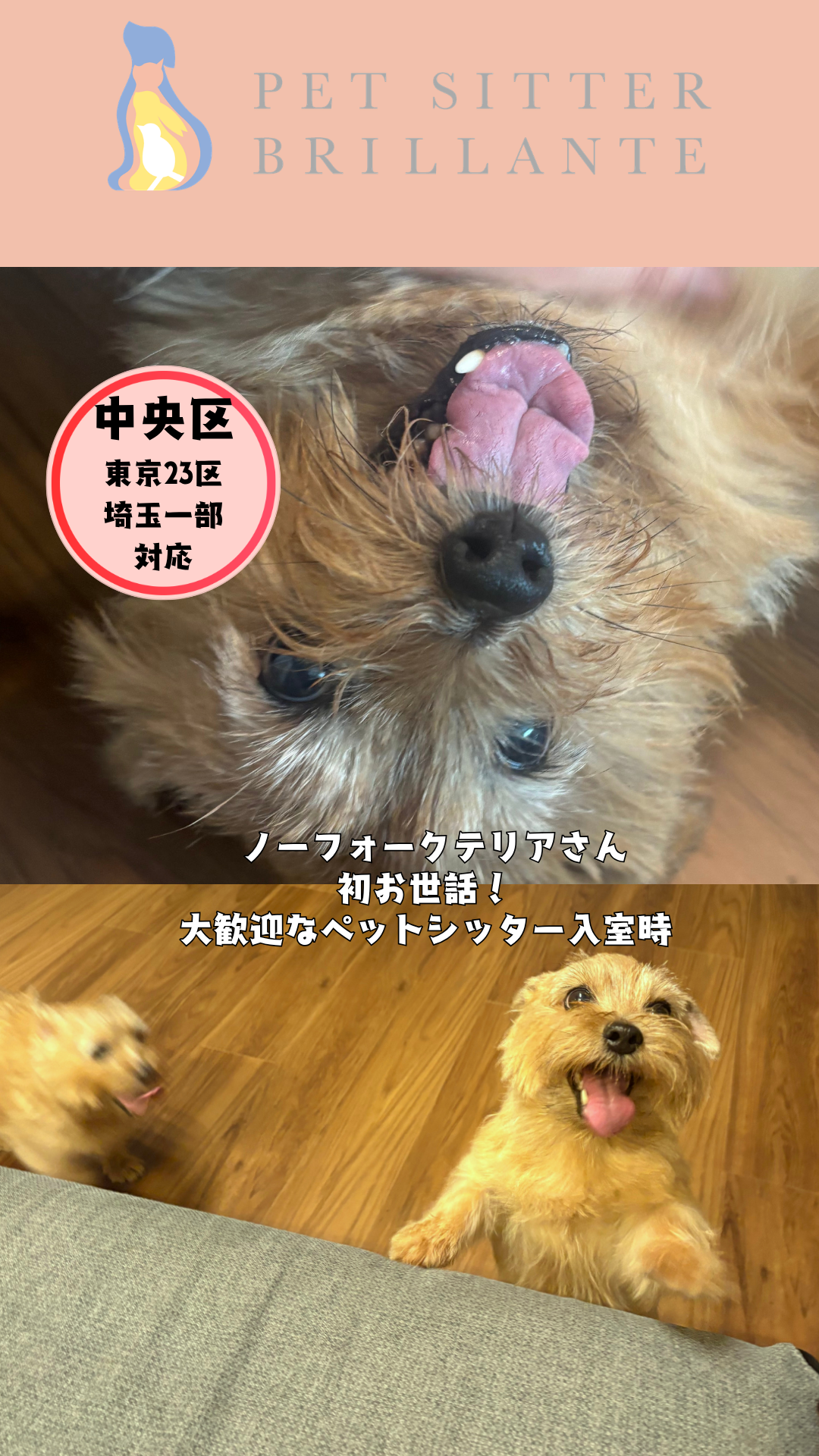 b458a9aef6d65b0d32545a9ee2f46fe1e4099920.png