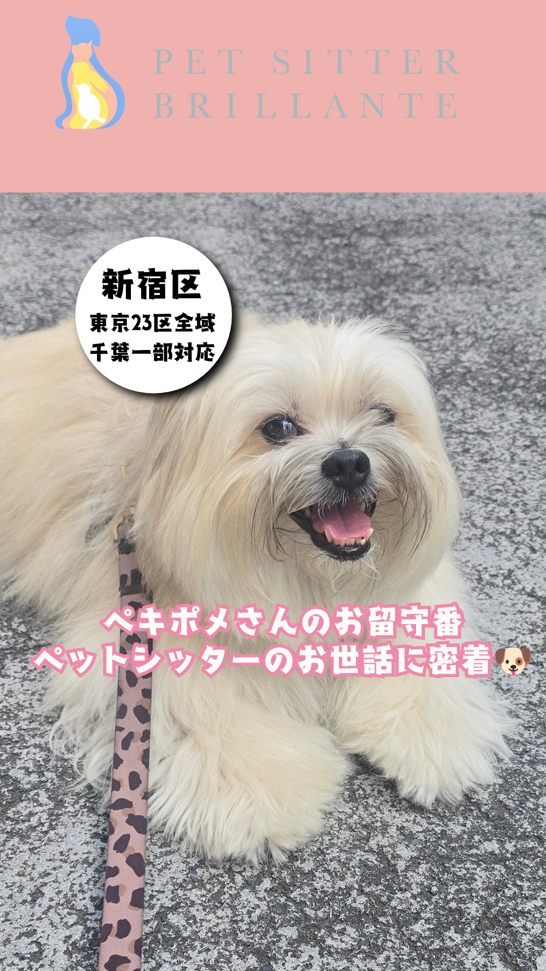 c201530eefd328701f29887f0d6482252b46f420.png