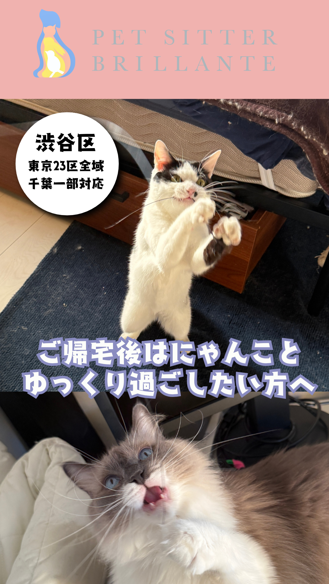 c9c0c3602f7aaf3a2ca94d0ebd906d190db9d00a.png