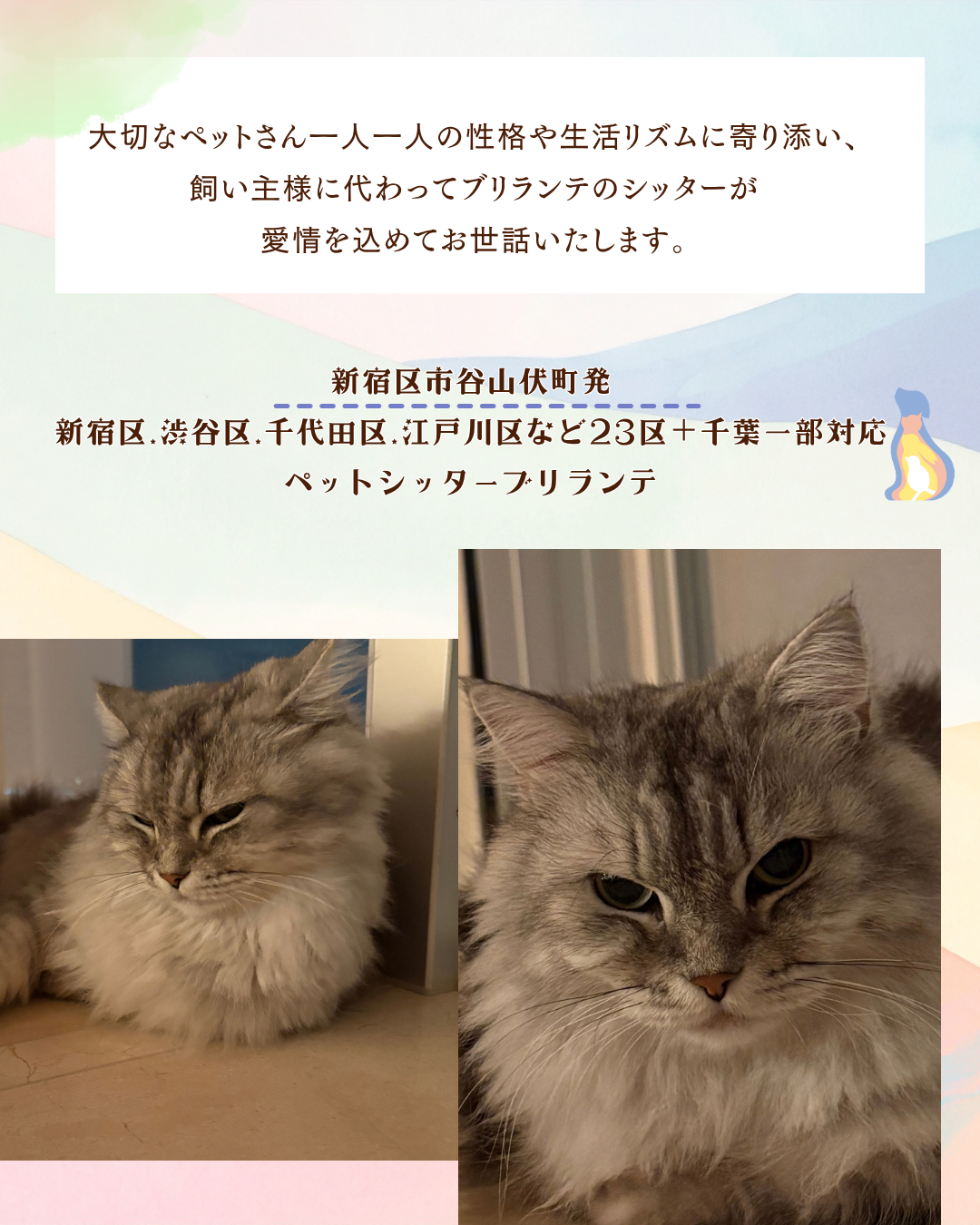 ccda41eac3465fc4160ef59de70703993fdb10ef.png