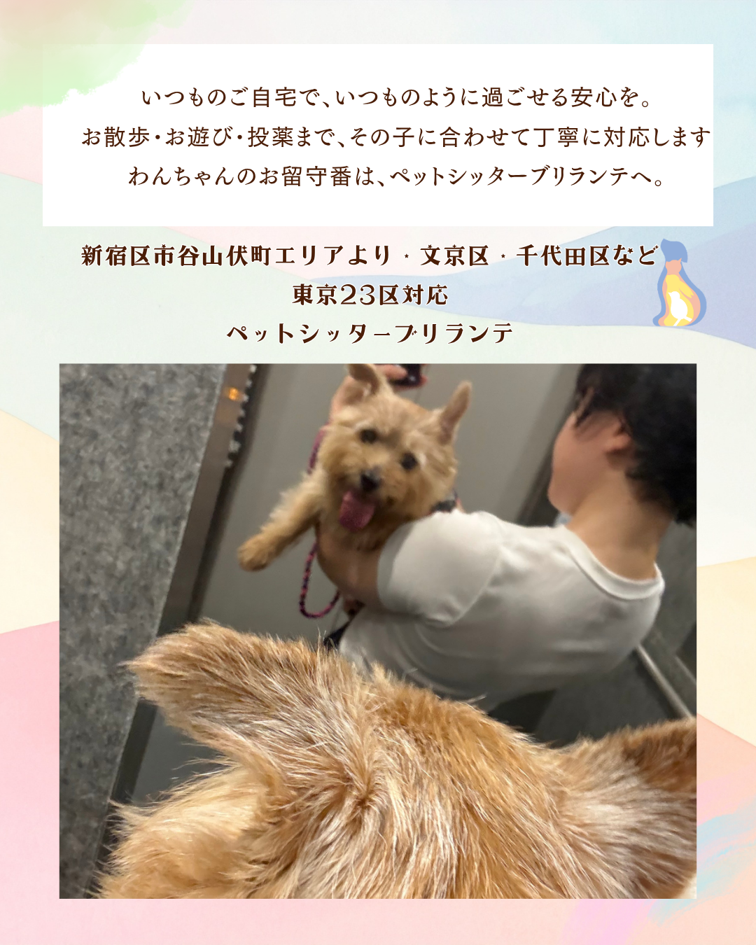 d446de22819193cf989e146731304ce5b73f96ff.png