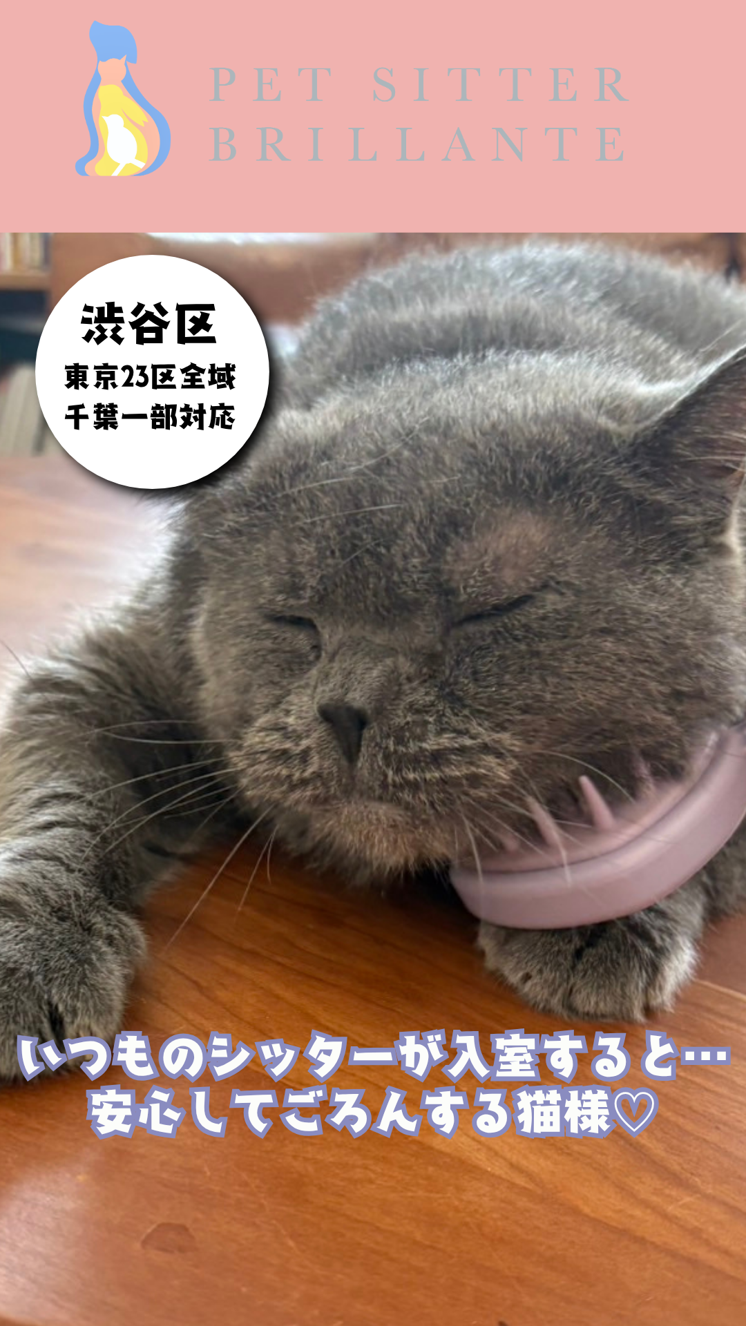 d6c805333def8d0c2725411ff994480c5f370df0.png