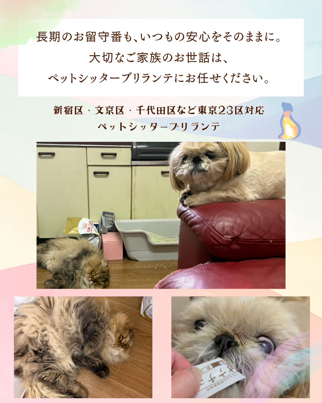 dabce9c24c53bde267cf6c37d1e39e4126653539.png