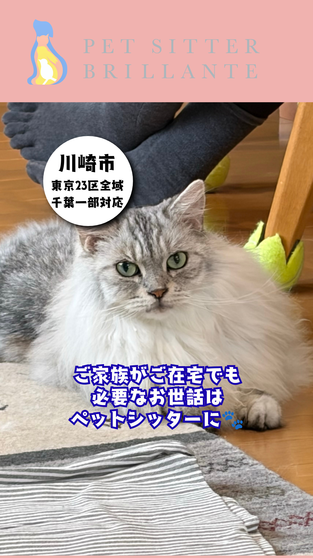 e2ece7c5be01df87ba7f192be2b272de5b75c522.png