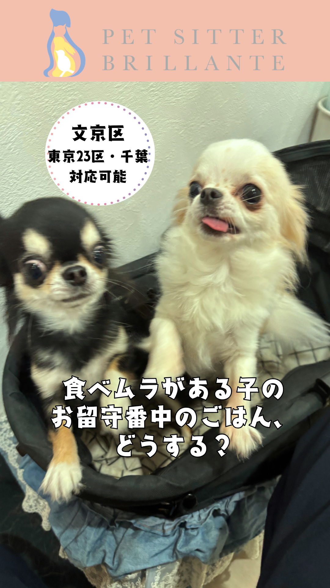 ece39a1ecb7c747723e86e0e8fc1cf5f1d861d8b.png