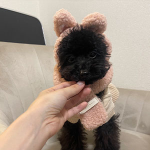 スタッフ紹介
