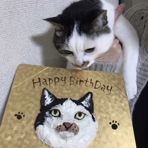 スタッフ紹介