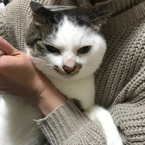 スタッフ紹介